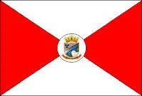 Bandeira de Abadia de Goiás