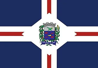 Bandeira de Adolfo
