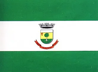 Bandeira de Alecrim