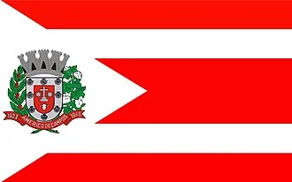 Bandeira de Américo de Campos