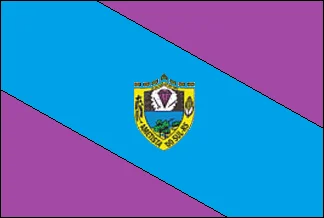 Bandeira de Ametista do Sul