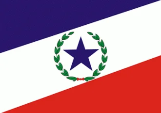 Bandeira de Angélica