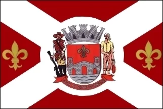 Bandeira de Anhembi