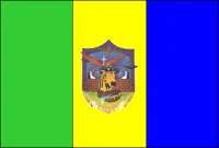Bandeira de Anicuns