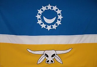 Bandeira de Antônio Cardoso