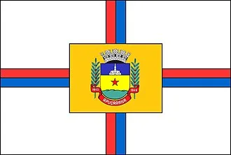 Bandeira de Apucarana