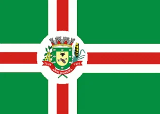 Bandeira de Aral Moreira