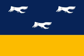 Bandeira de Arapongas