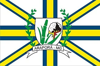 Bandeira de Araporã
