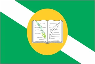 Bandeira de Arari