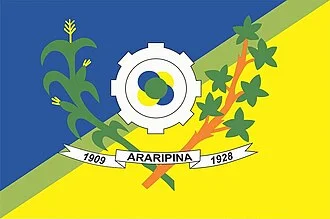 Bandeira de Araripina