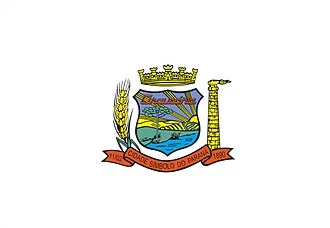 Bandeira de Araucária