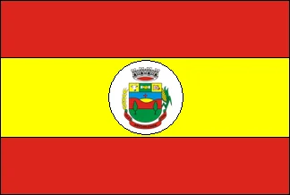 Bandeira de Arvorezinha