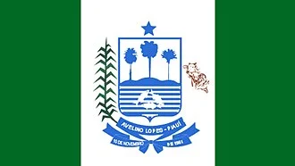 Bandeira de Avelino Lopes