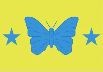 Bandeira de Bady Bassitt