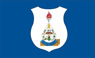 Bandeira de Barra de São Francisco