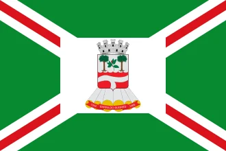 Bandeira de Barra do Bugres