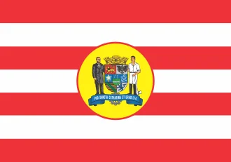 Bandeira de Blumenau
