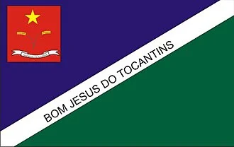 Bandeira de Bom Jesus do Tocantins