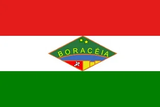 Bandeira de Boracéia