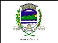 Bandeira de Borrazópolis