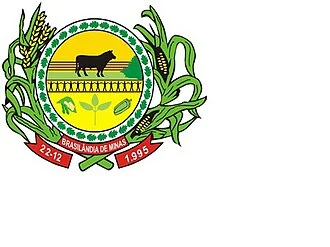 Bandeira de Brasilândia de Minas