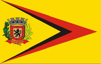 Bandeira de Braúna