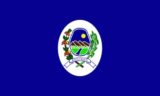 Bandeira de Brejinho