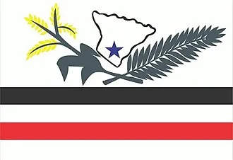 Bandeira de Brejo