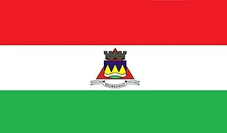 Bandeira de Brumadinho