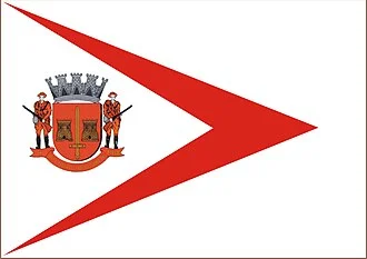 Bandeira de Buri