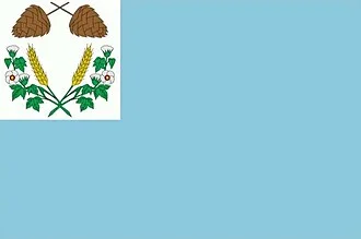 Bandeira de Buriti Bravo