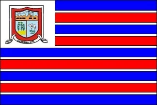 Bandeira de Cachoeira Alta