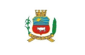 Bandeira de Campos Altos
