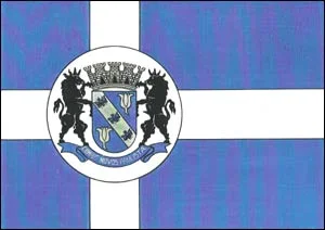 Bandeira de Campos Novos Paulista