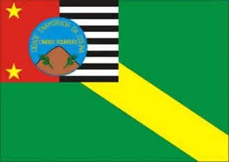 Bandeira de Cândido Rodrigues