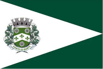 Bandeira de Canto do Buriti