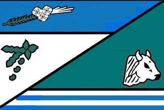 Bandeira de Capela do Alto Alegre