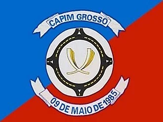 Bandeira de Capim Grosso