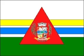 Bandeira de Carneirinho