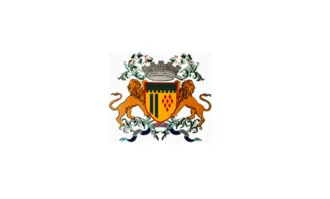 Bandeira de Caxias do Sul