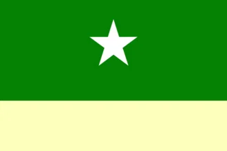 Bandeira de Condado