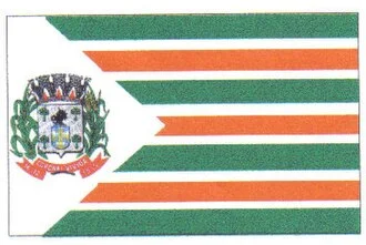 Bandeira de Coronel Vivida