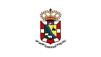Bandeira de Cruz Alta