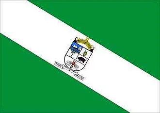Bandeira de Cruz Machado