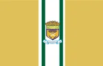 Bandeira de Curionópolis