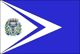 Bandeira de Delfinópolis