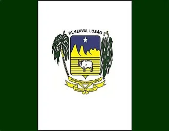 Bandeira de Demerval Lobão