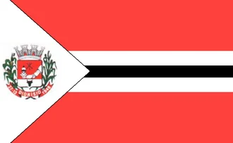 Bandeira de Dionísio