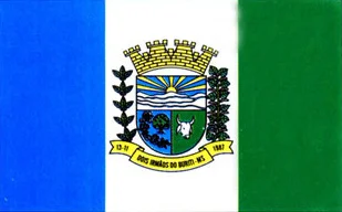 Bandeira de Dois Irmãos do Buriti
